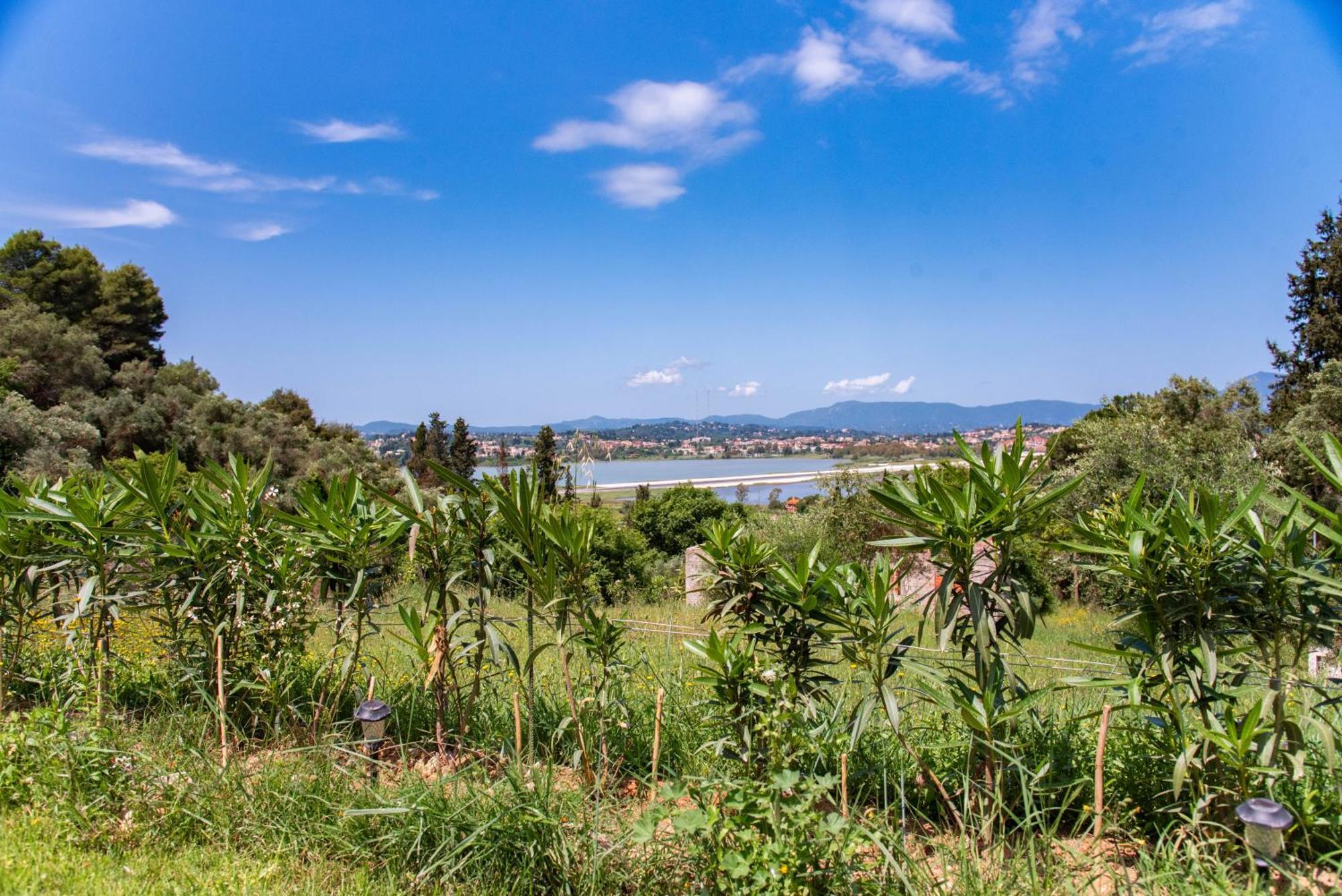Gems Suites Corfu  Exterior photo